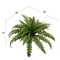 6-Pack: UV Boston Fern Plant with 35 Silk Fronds, 34&#x22; Wide by Floral Home&#xAE;